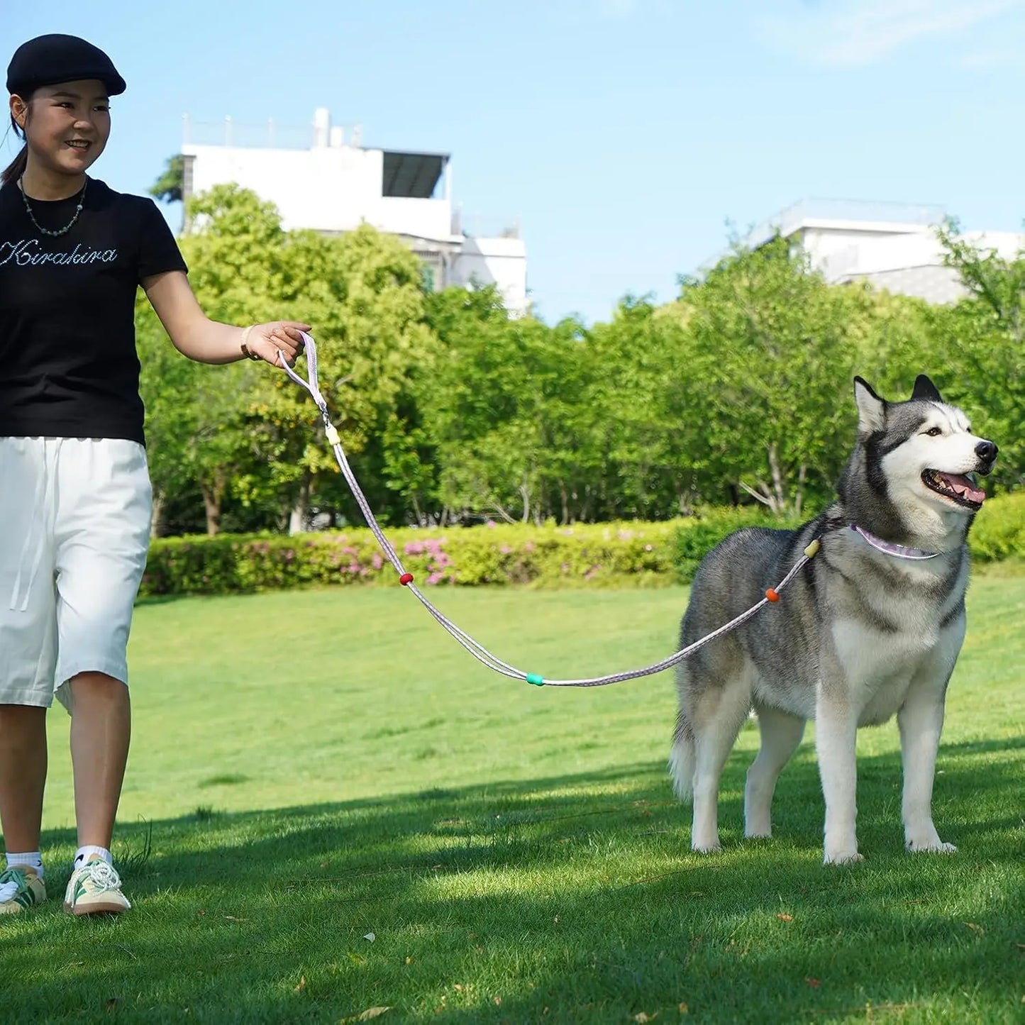 Dog Leash and Collar Set with AirTag Holder