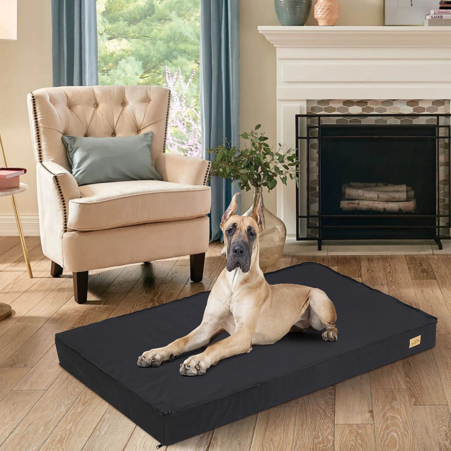 Washable Dog Beds for Large Dogs