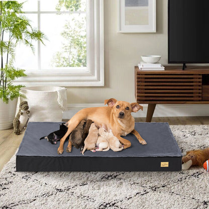 Washable Dog Beds for Large Dogs