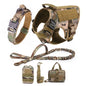 Large Dog Harness And Leash