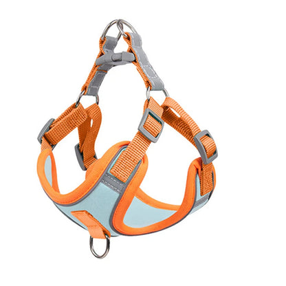 Adjustable Dog Harness for Small Dogs