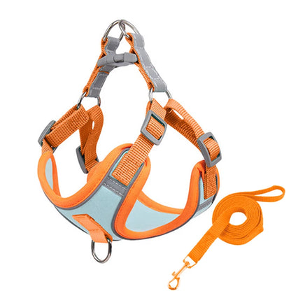 Adjustable Dog Harness for Small Dogs