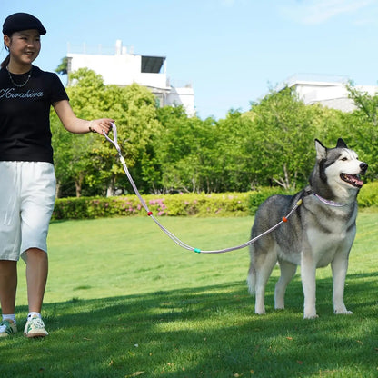 Dog Leash and Collar Set with AirTag Holder