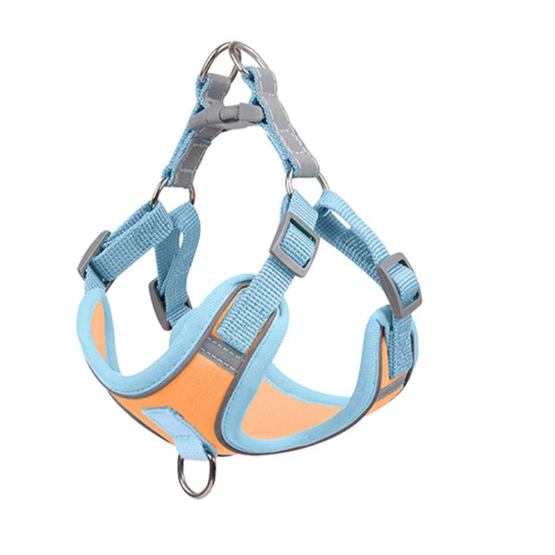 Adjustable Dog Harness for Small Dogs