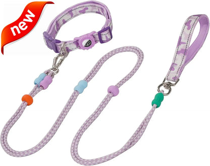 Dog Leash and Collar Set with AirTag Holder