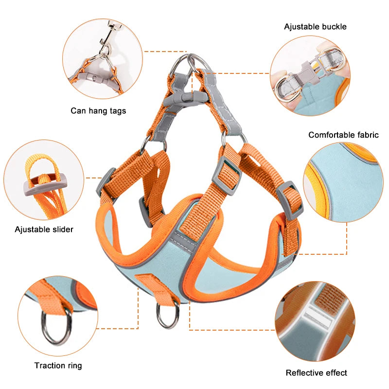 Adjustable Dog Harness for Small Dogs