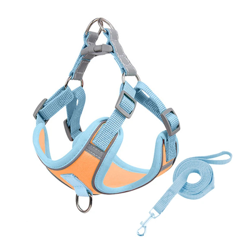 Adjustable Dog Harness for Small Dogs