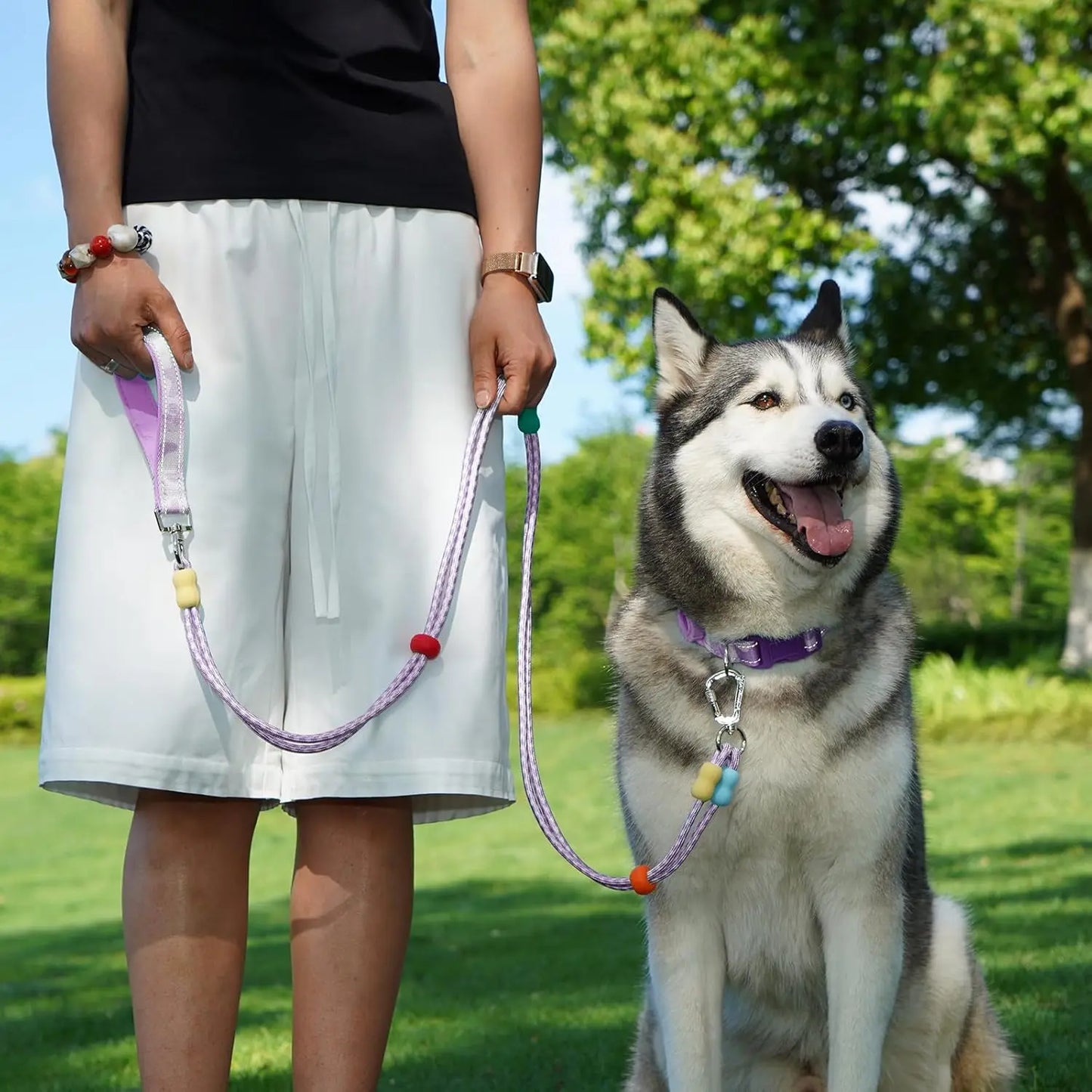 Dog Leash and Collar Set with AirTag Holder