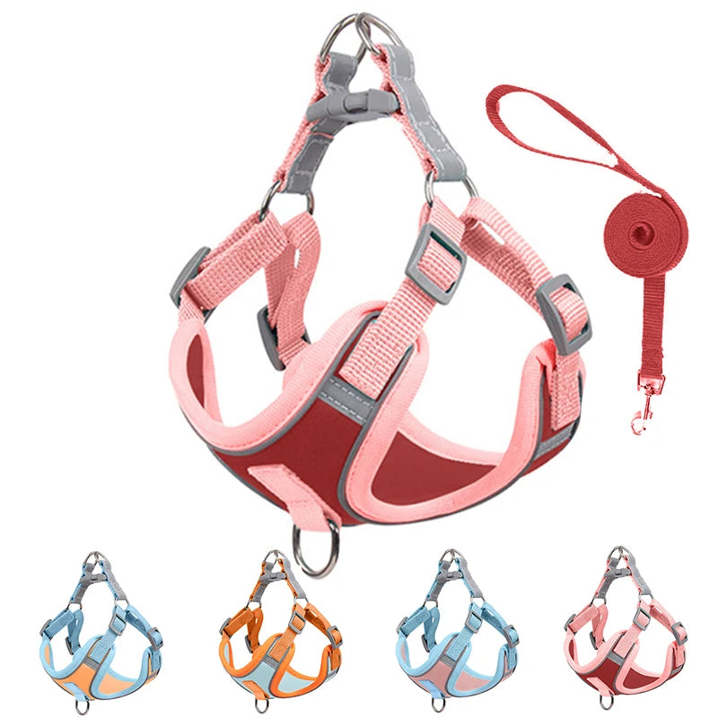 Adjustable Dog Harness for Small Dogs