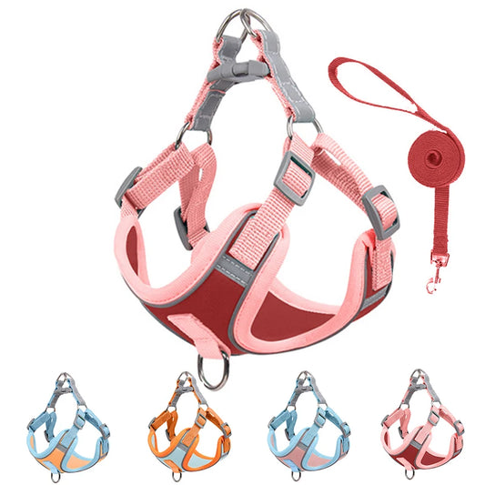 Adjustable Dog Harness for Small Dogs