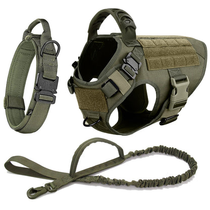Large Dog Harness And Leash
